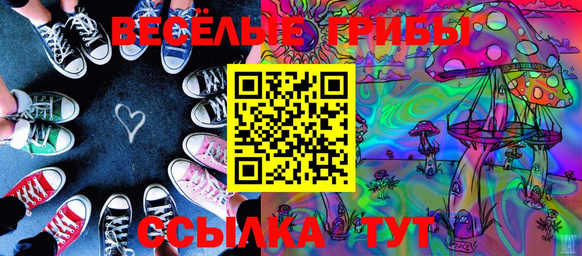 Псилоцибиновые грибы Psilocybine cubensis  где купить наркоту  Биробиджан  Вход с VPN 